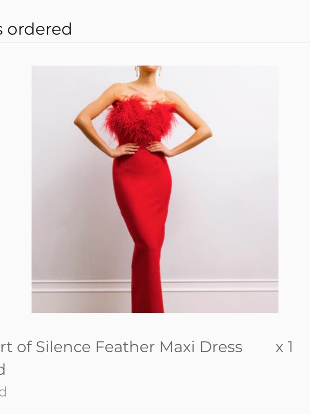 Lisa Maree - Feather Trim Maxi Dress in Red. Like New (Size Medium)